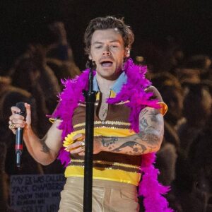 Harry Styles 'hit in the face by object' during concert in Vienna - Music News