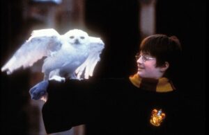 Daniel Radcliffe in "Harry Potter and The Sorcerer's Stone."