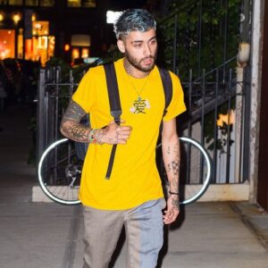 'It’s a different sound for me ... It's got real-life experiences and stuff':Zayn Malik teases new 'direction' on new solo album - Music News