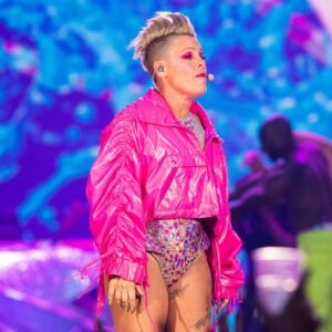Pink fan throws late mother's ashes on stage - Music News