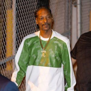 Snoop Dogg scraps Hollywood Bowl shows in support of strikes - Music News