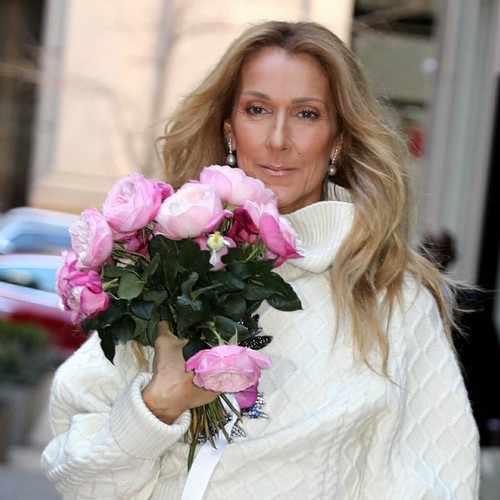 Celine Dion's sister shares update on singer's health - Music News