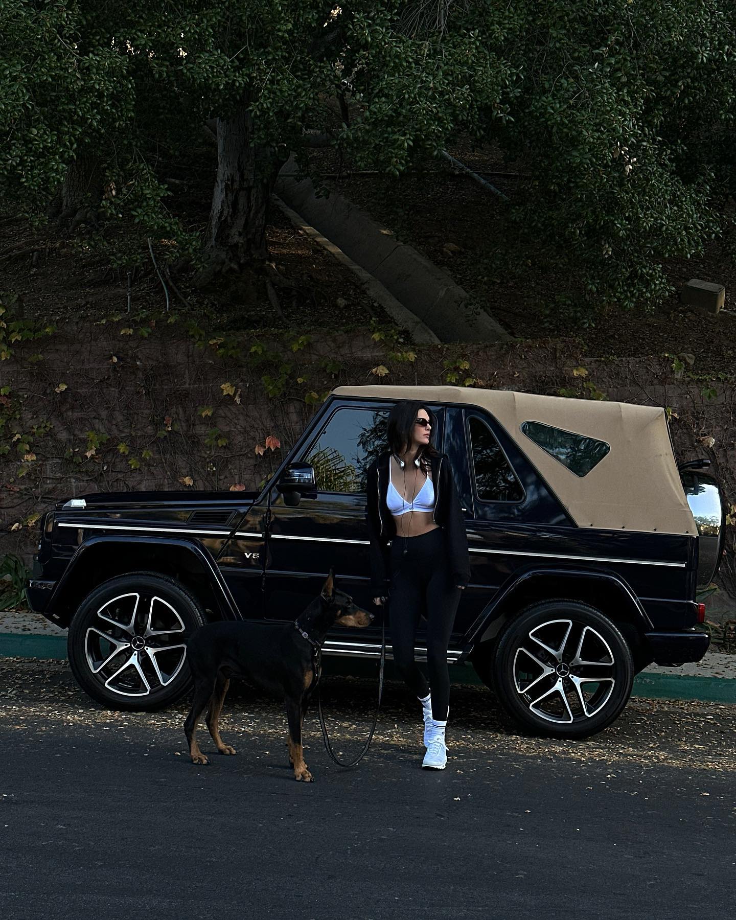 Kendall was also photographed walking her dog, Pyro