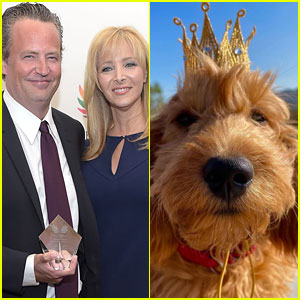 Lisa Kudrow Isn't Adopting Matthew Perry's Dog: Rumor Explained By Source