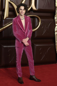 Timothee Chalamet walked the red carpet of his new movie, Wonka, solo on Tuesday night