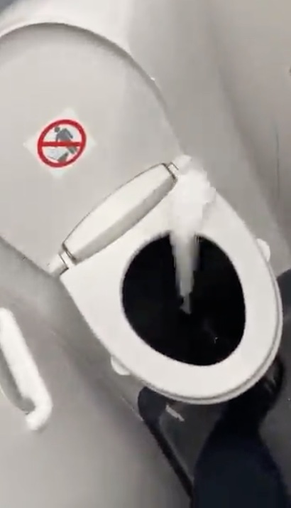 The toilet paper is then sucked up into the toilet bowl