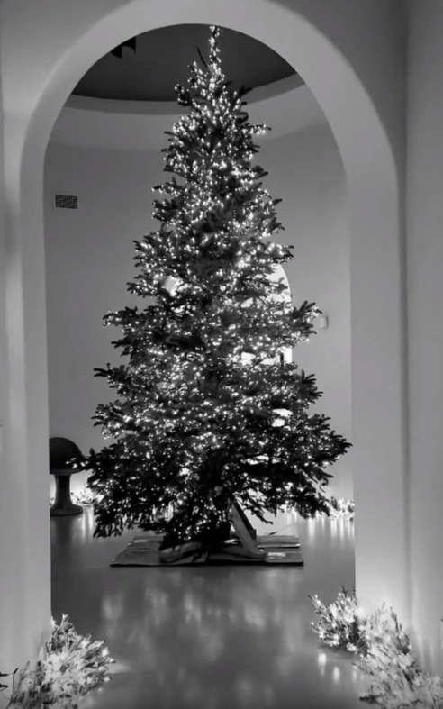 She posted a video that showed her illuminated hallway and Christmas tree