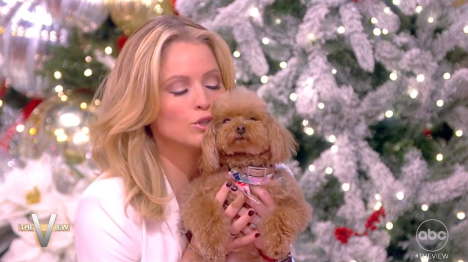 Sara Haines revealed that she judged The View's pooch pageant