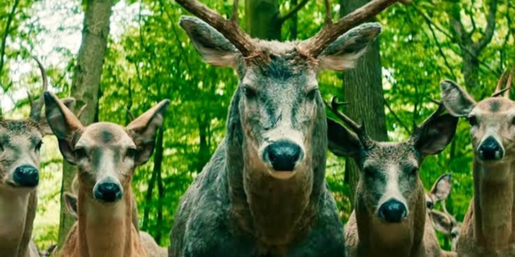 Leave the World Behind Deer scene