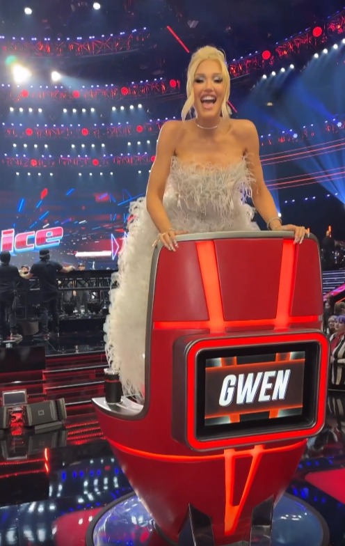 Gwen was wearing a large gray dress covered in ostrich feathers