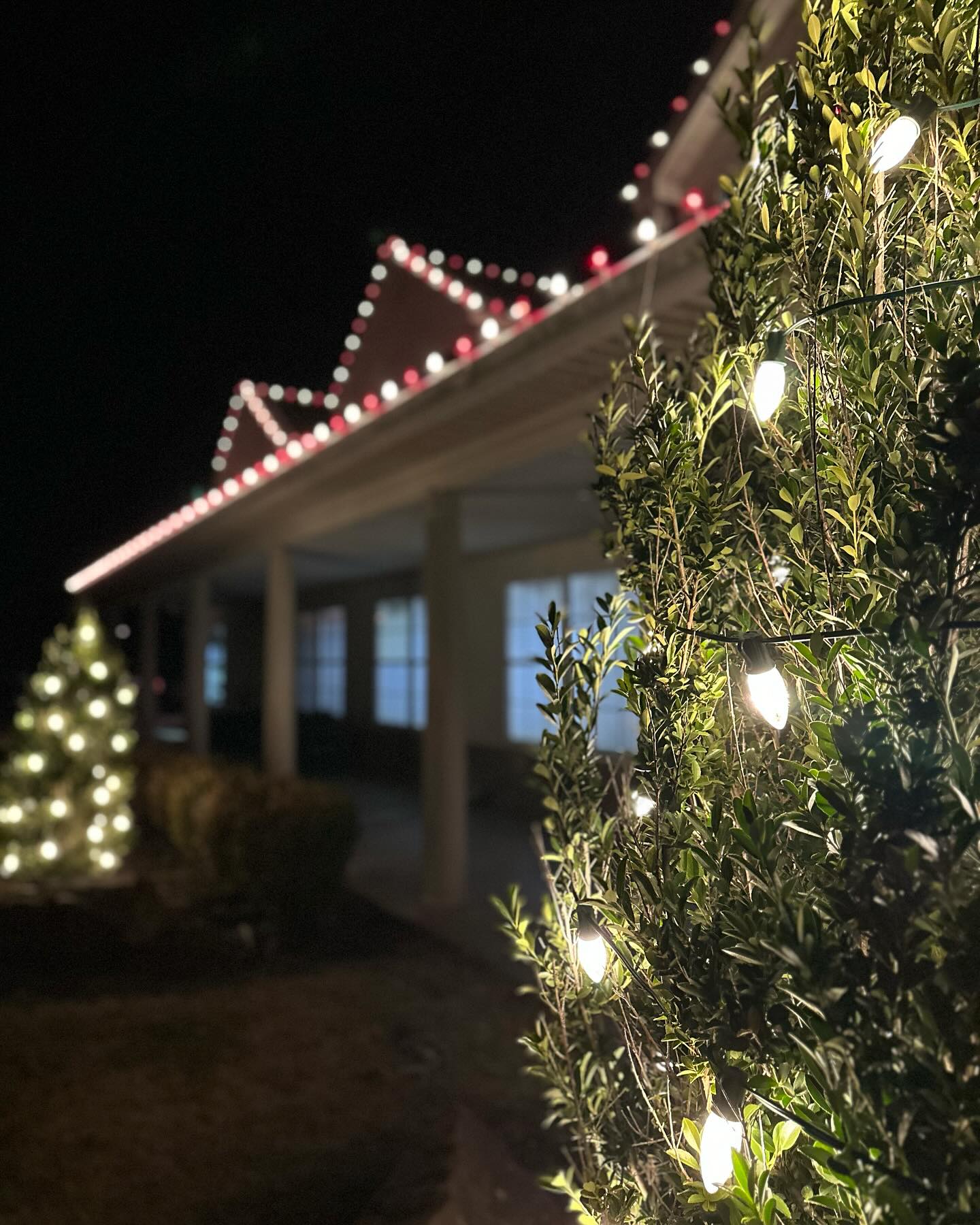 James shared another photo of Christmas-lit bushes outside his Arkansas home