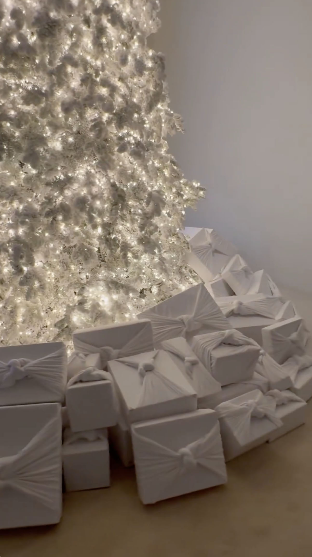 She posted a video of a pile of Christmas presents under her tree