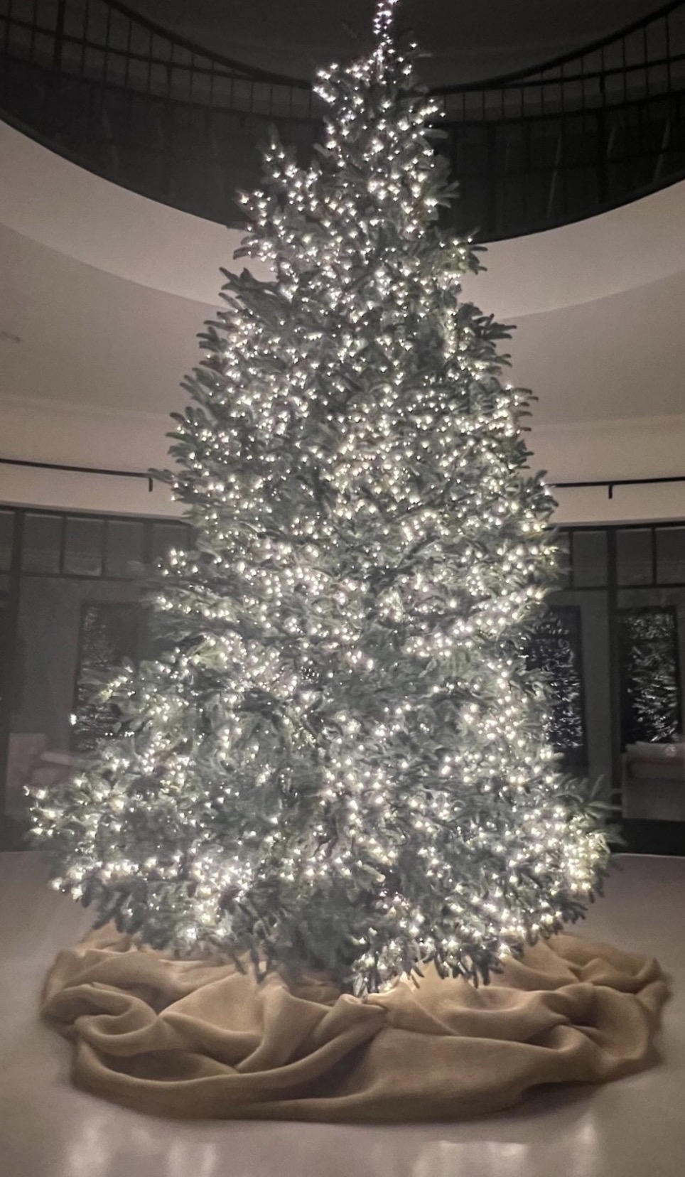 Kourtney Kardashian showed off her humble Christmas tree in a new photo