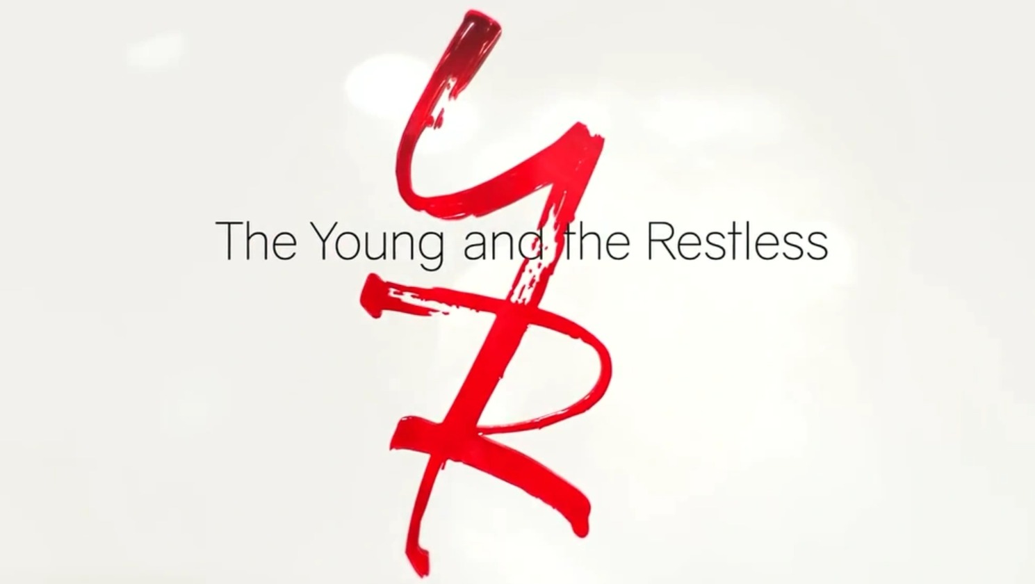 Brian will play Seth on The Young and the Restless, a character who will be in Nikki's AA meeting