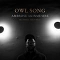 Ambrose Akinmusire: Owl Song album art.