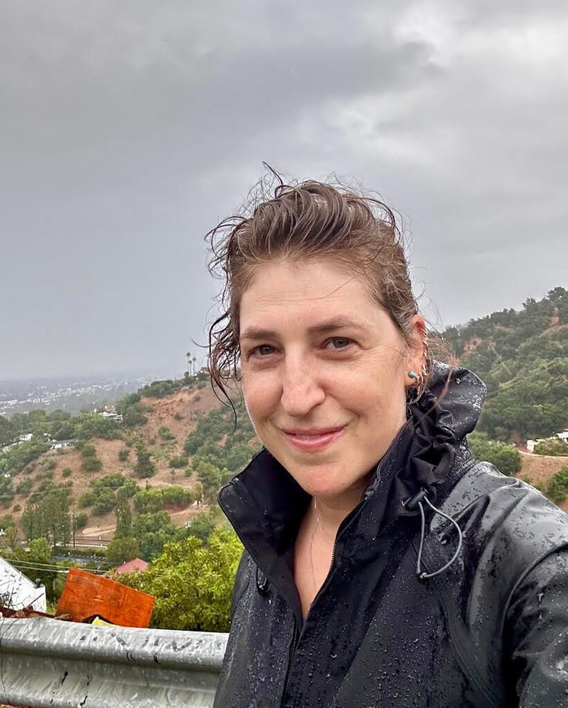 Mayim Bialik shared a post about having new beginnings in 2024 and wants to wash away 2023
