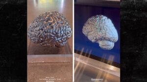 Kim Kardashian Gifted 3D Model of Her Brain from Prenuvo