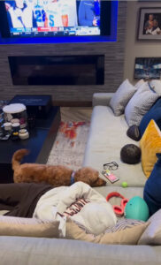 Michael Strahan filmed his two dogs in a new home video