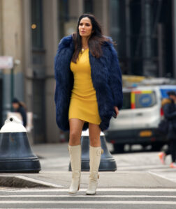 Padma Lakshmi was seen in an eye-catching outfit while in New York City