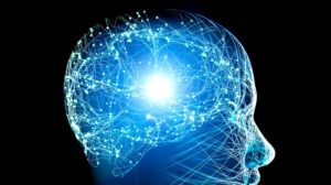 brain neurology artificial consciousness