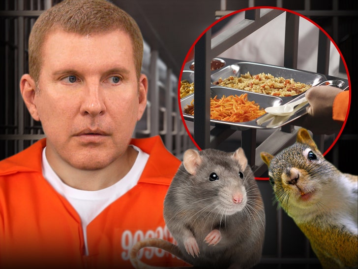 Todd Chrisley's Prison Defends Food Service After Dead Animal Claims