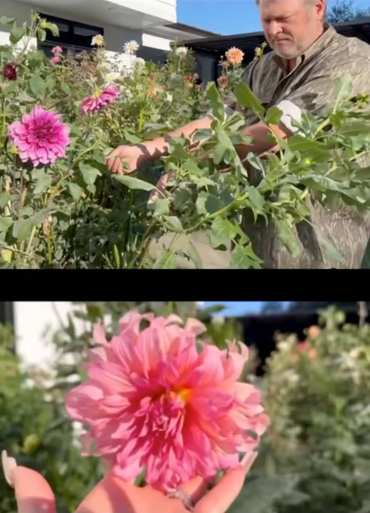 Blake appeared very briefly in Gwen's gardening clip
