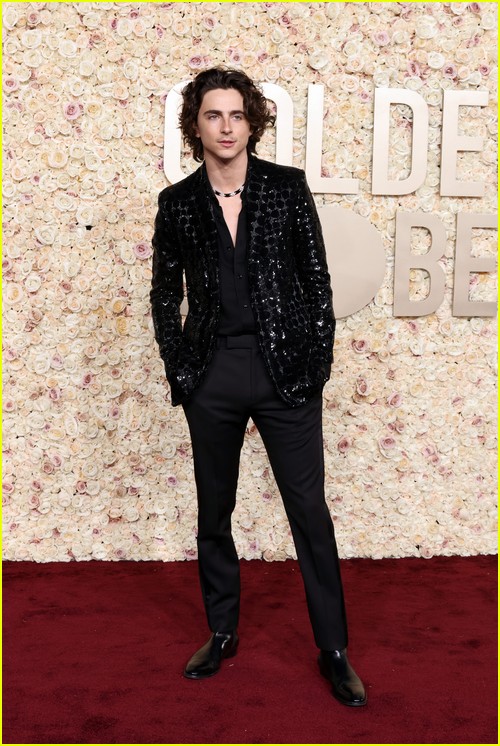 Wonka’s Timothee Chalamet at the Golden Globes 2024
