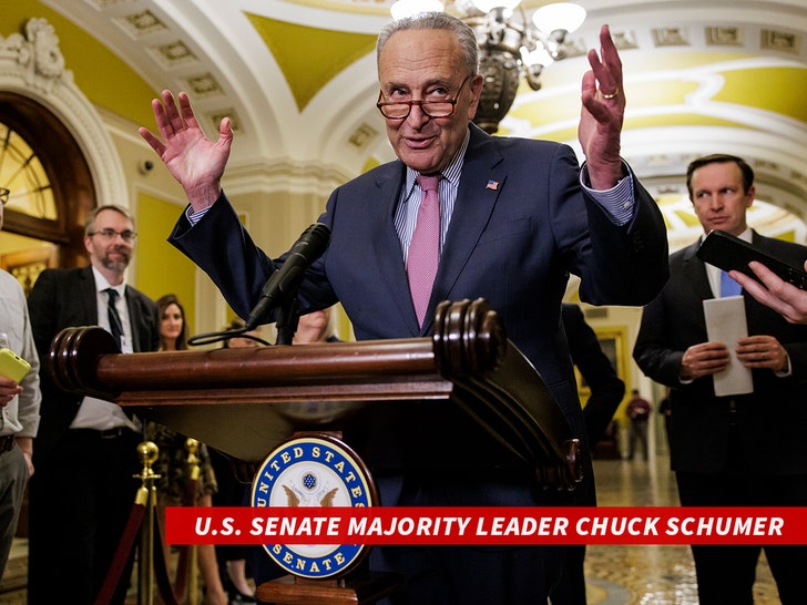 U.S. Senate Majority Leader Chuck Schumer