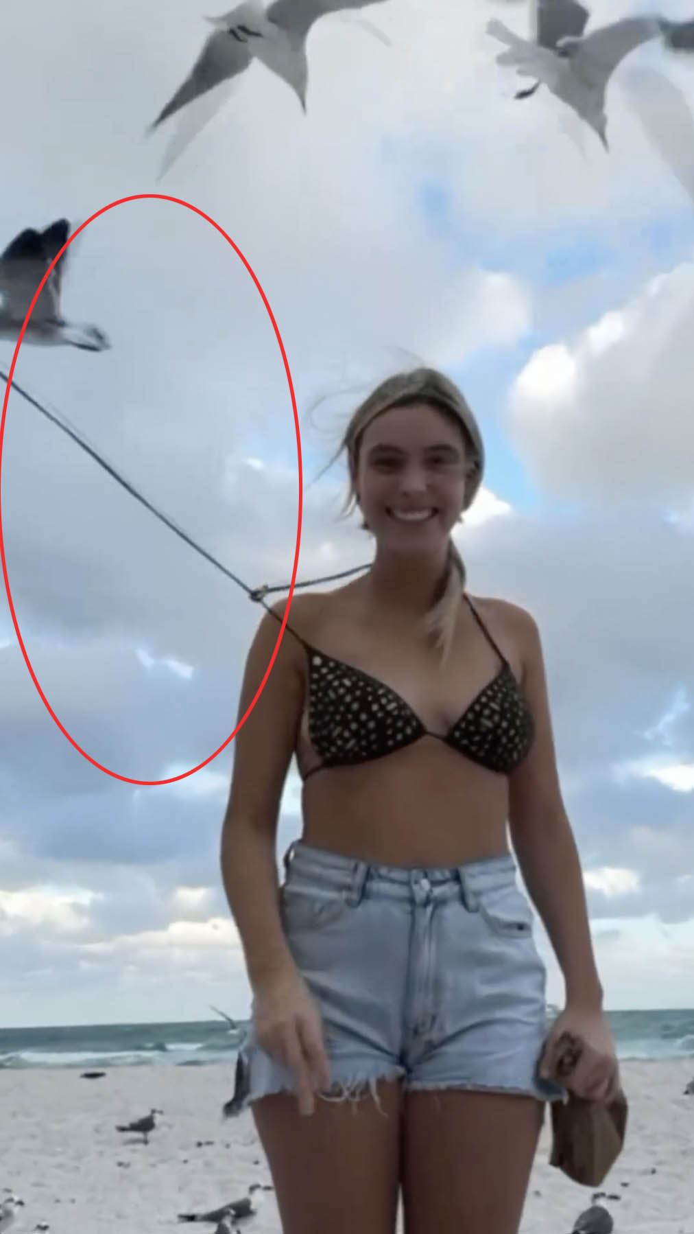 Lele Pons was filming content for her followers when a 'seagull' apparently swooped down