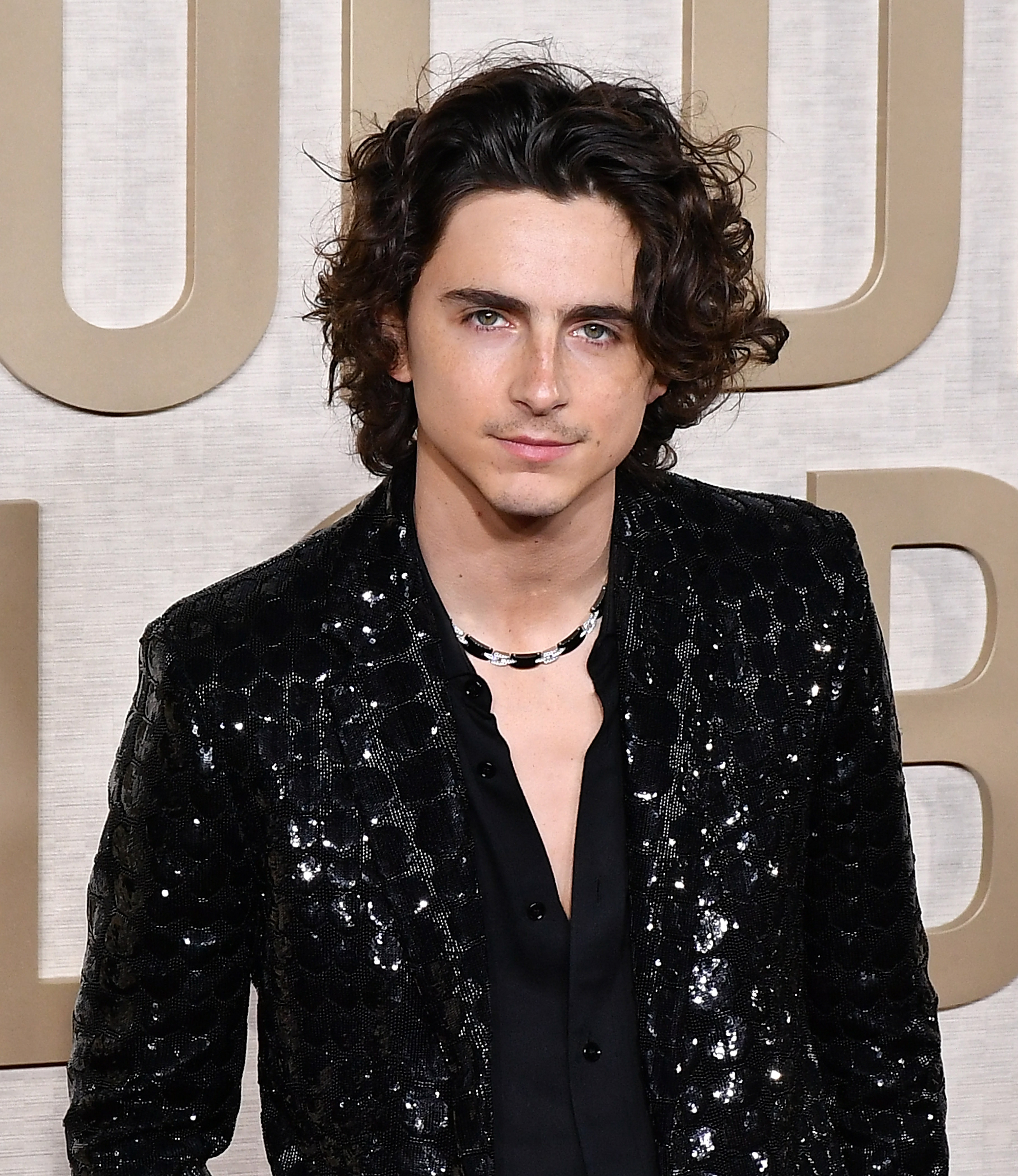 Timothée's A-list status has been cemented by the recent box office success of Wonka