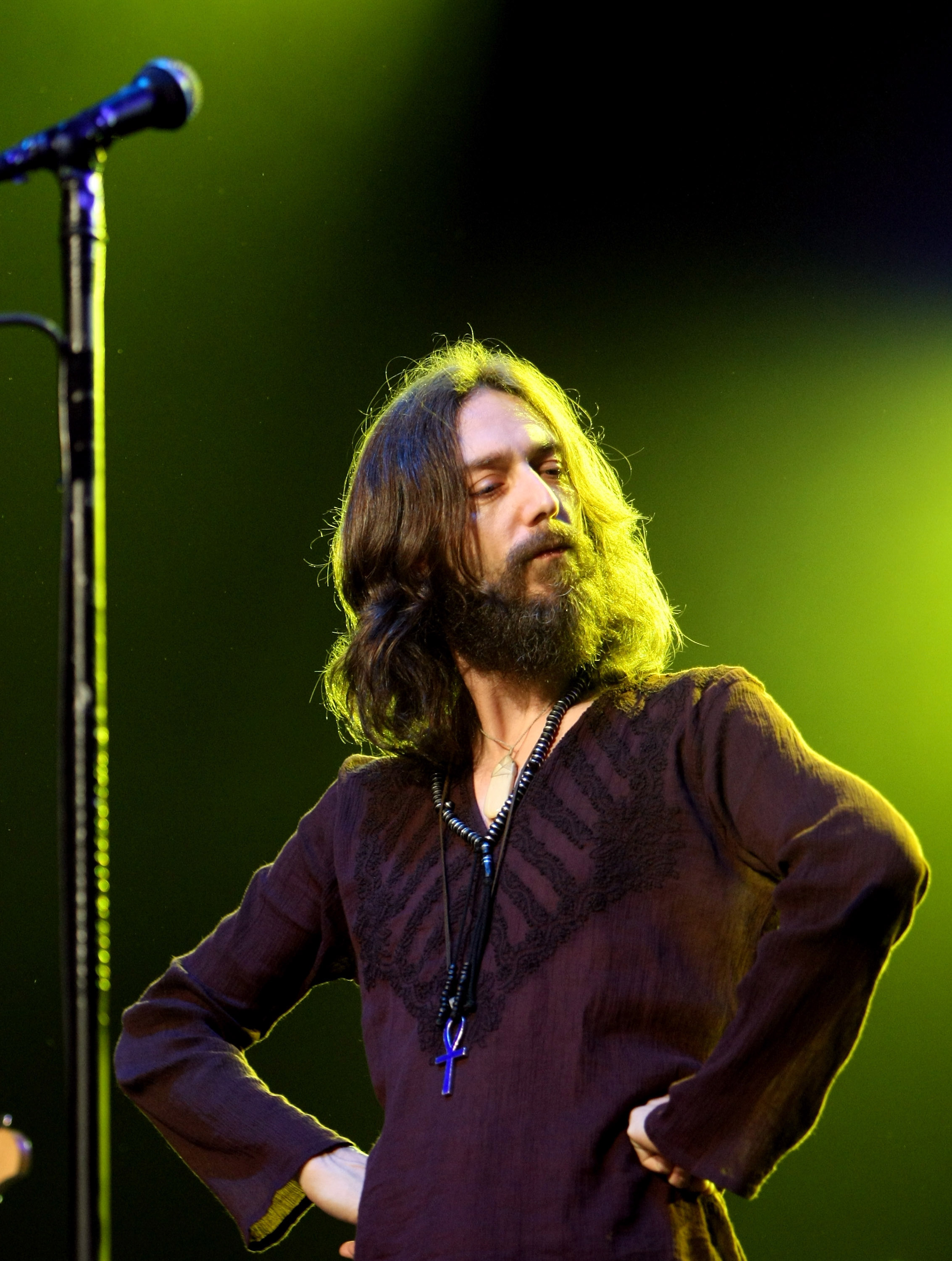 Chris Robinson, Rich Robinson, and Sven Pipien formed the core founding members of the band