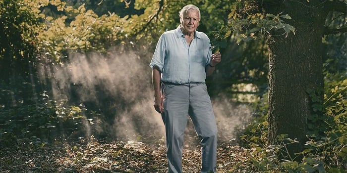 David Attenborough's BBC career