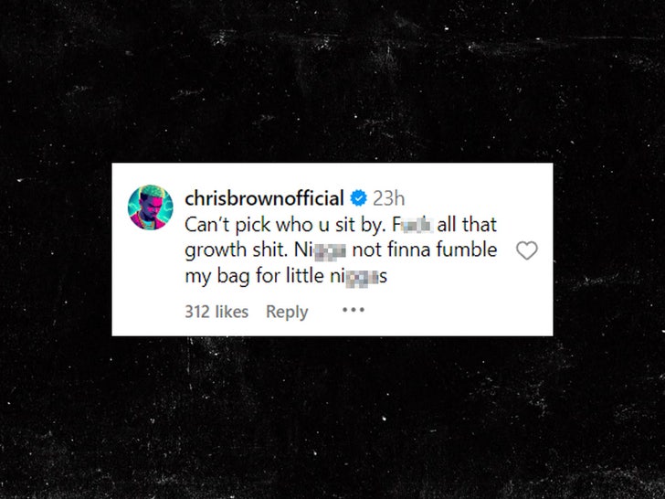 chris brown comment_instagram