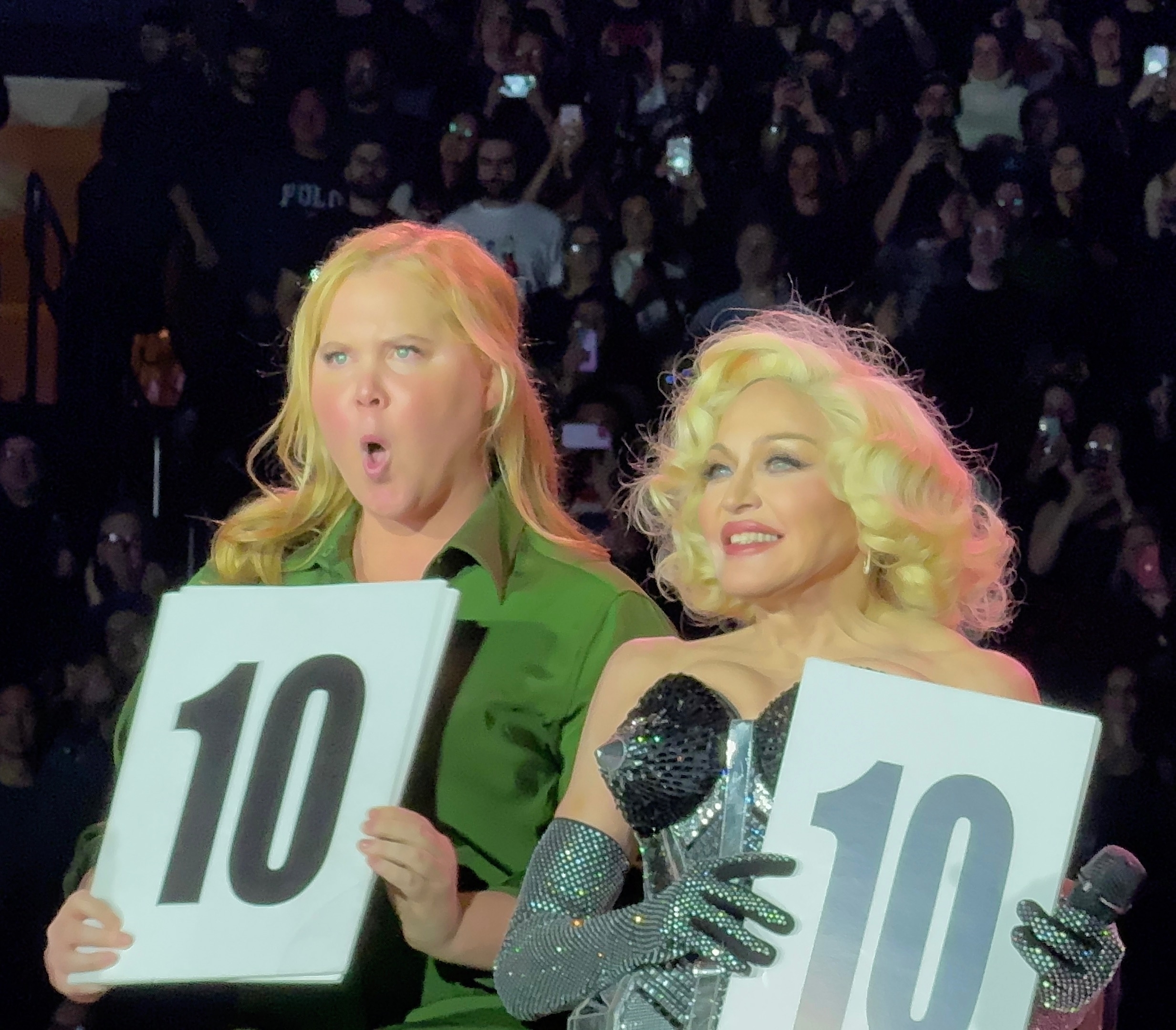 Amy Schumer was pulled onto the stage to rate the Celebration Tour dancers