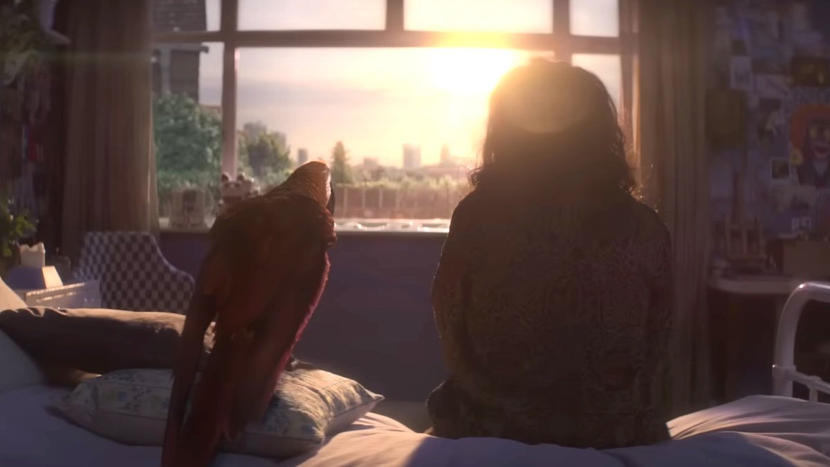 A big red bird and a woman sit on a bed looking out at the sun in a window in Tuesday