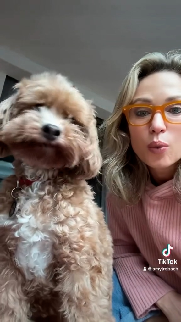 On Saturday, the former GMA3 host posted a video of herself hanging out indoors with her Maltipoo, Brody, on TikTok and Instagram