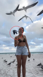 An influencer's top appeared to nearly be ripped off by a 'bird'