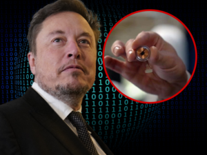Neuralink Elon Musk first Human Transplant
