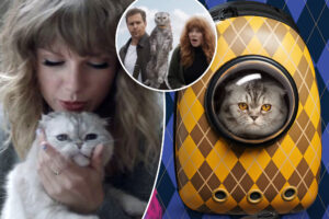 How Taylor Swift's feline inspired the spy thriller 'Argylle'