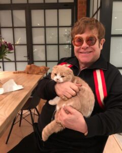 Ed shared a snap of Elton John cosying up to his cats in his dining area