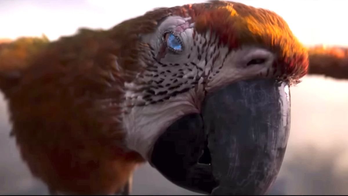 Tuesday Trailer giant death bird A24