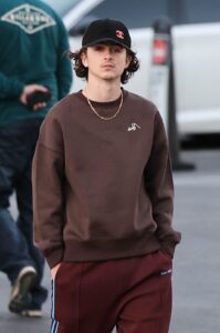 Timothee Chalamet was spotted alone in Los Angeles