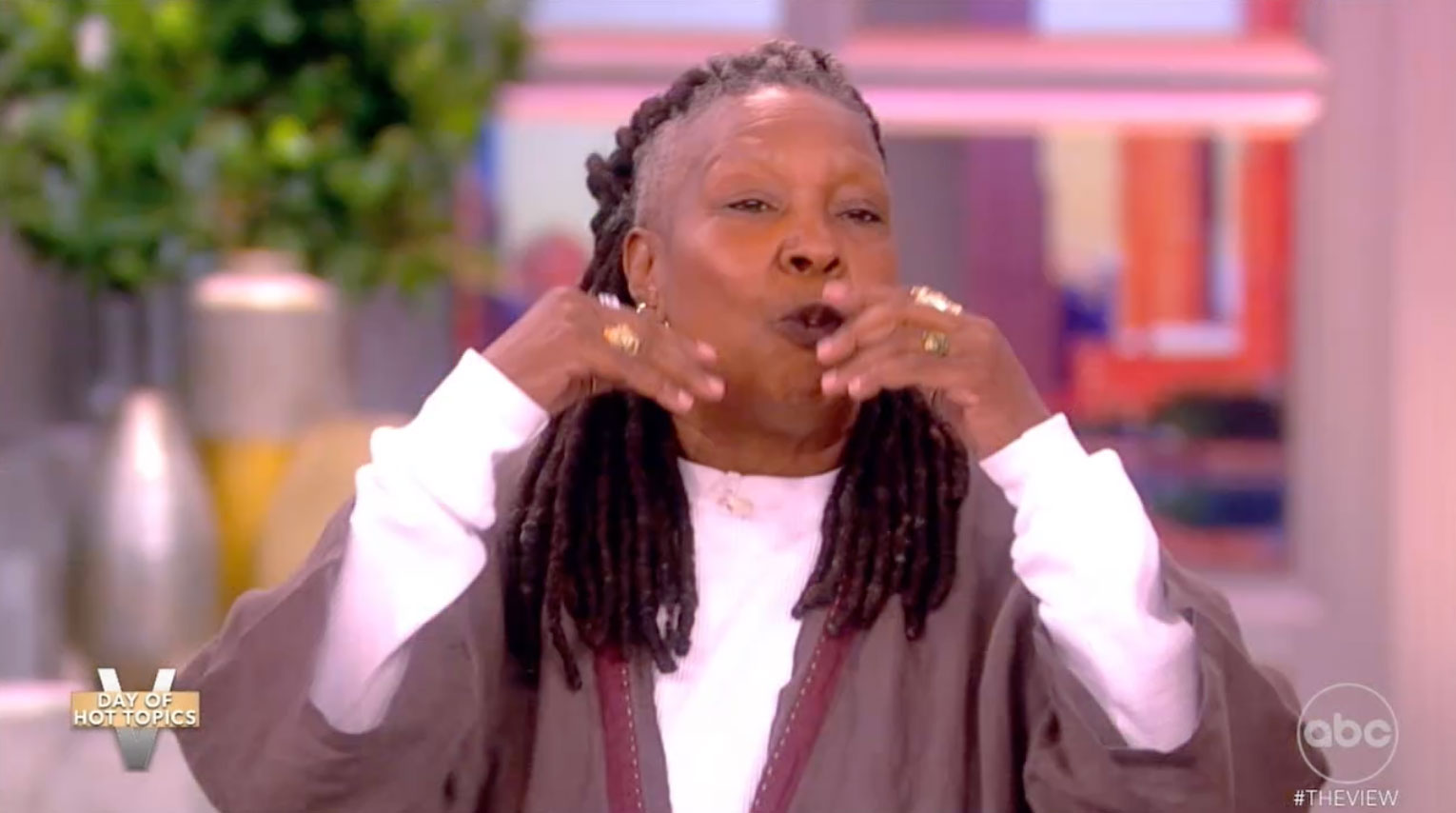 Whoopi informed those watching that 'she wasn't able to buy one' when she was younger either and that people who wanted homes had to 'work for one'