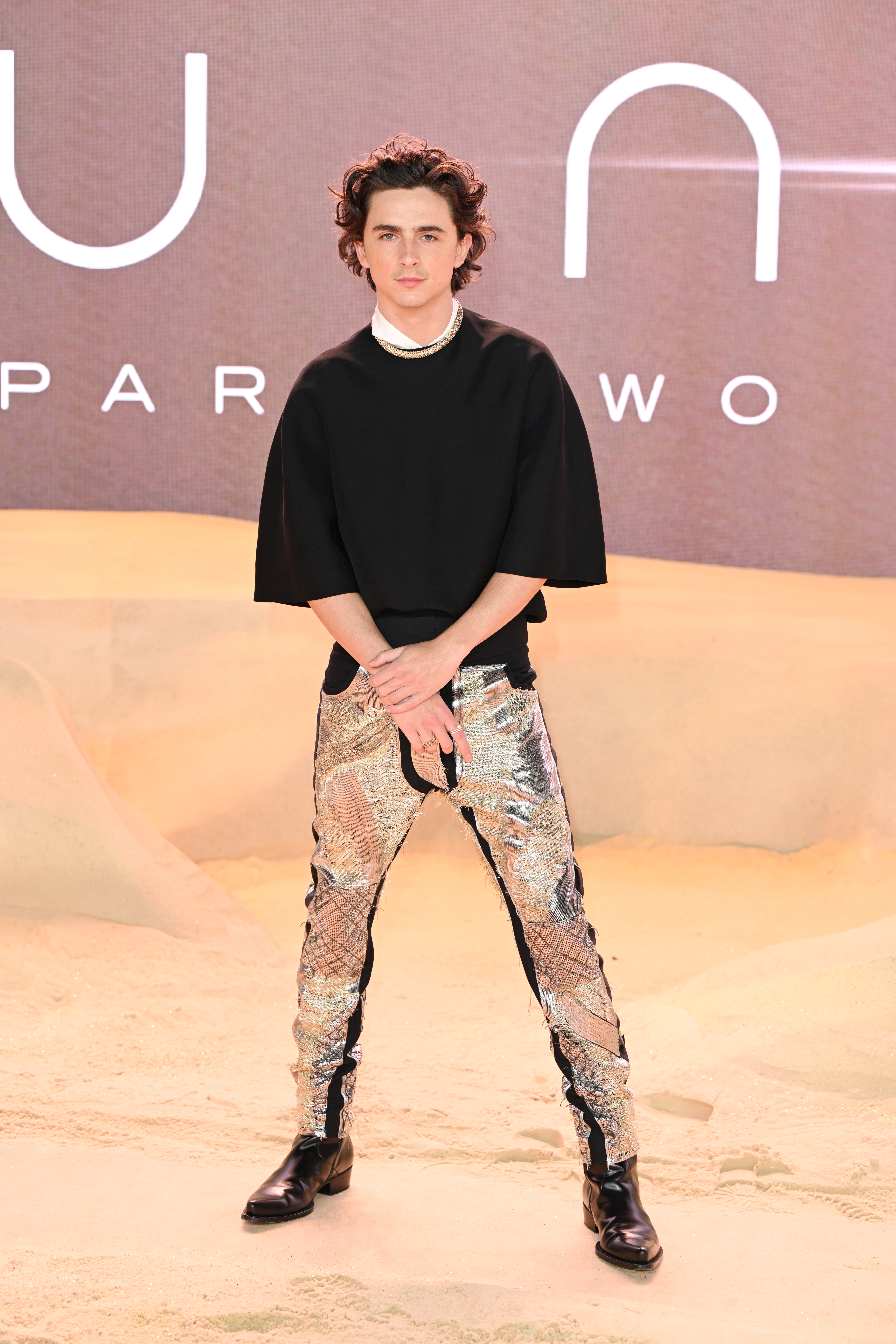 Timothee attended without girlfriend Kylie Jenner