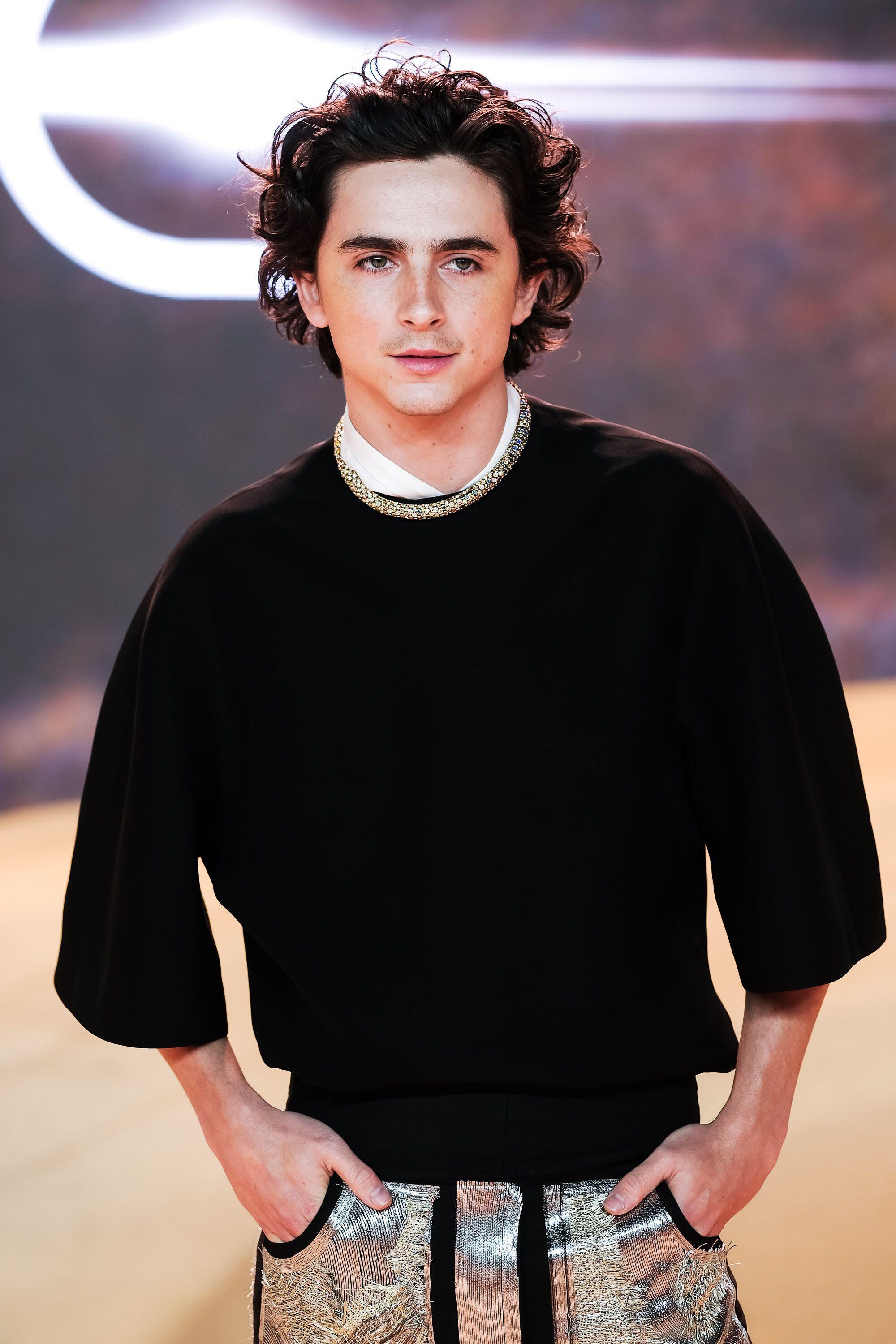 Timothee Chalamet pictured at an event in February 2024
