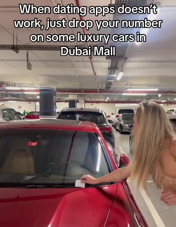 Ellen raced around the Dubai car park - eager to find her perfect match's motor