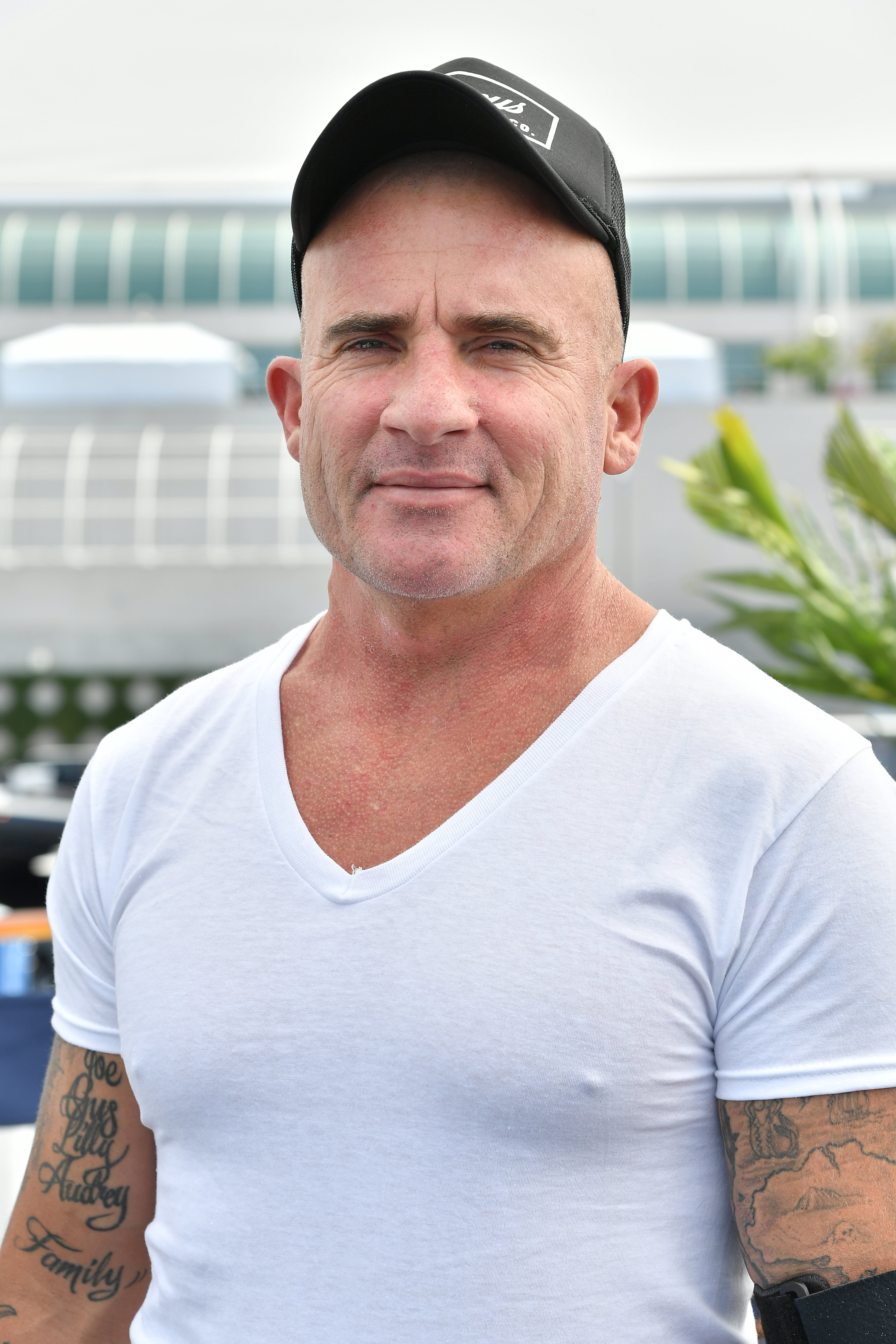 In August 2023, Tish married Dominic Purcell, 54, in August 2023