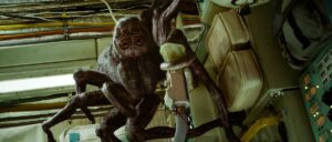Hanuš the almost-human-sized alien spider clings to an inside wall on Jakub’s spaceship in Netflix’s Spaceman