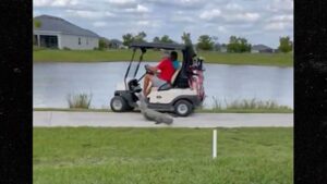 Alligator Chases Down People In Golf Cart, Tries To Bite Them In Insane Video!