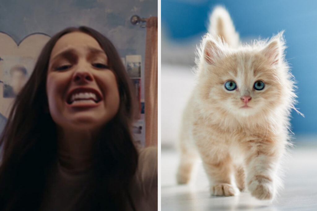Are You A Dog Or A Cat Person? Make An Olivia Rodrigo Playlist To Find Out